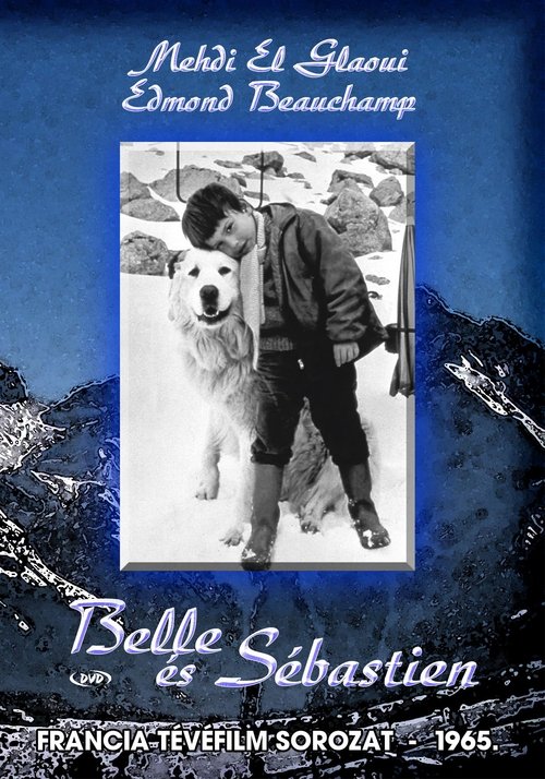 Belle and Sebastian poster