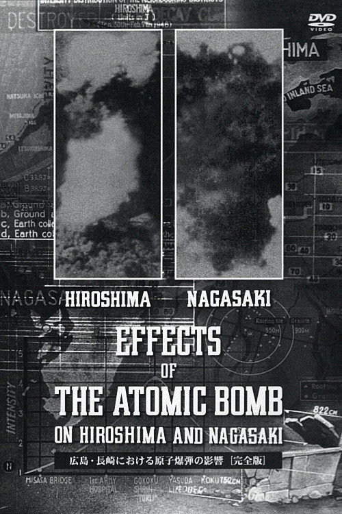 The Effects of the Atomic Bomb on Hiroshima and Nagasaki poster