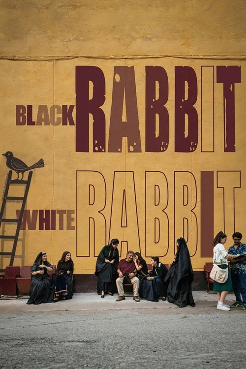 Black Rabbit, White Rabbit poster