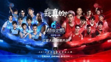 Super Penguin League poster