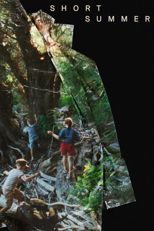 Short Summer poster