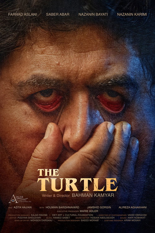 Turtle poster