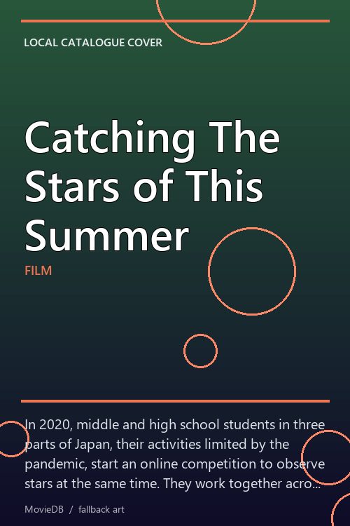 Catching The Stars of This Summer poster