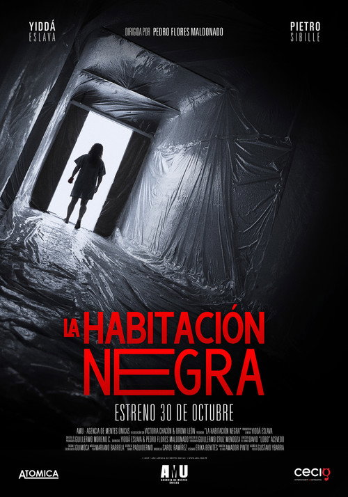 The Black Room poster