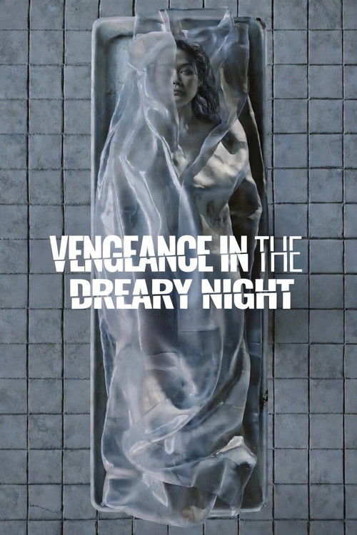 Vengeance of Dreary Night poster
