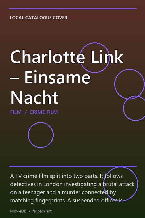 Charlotte Link – Einsame Nacht poster