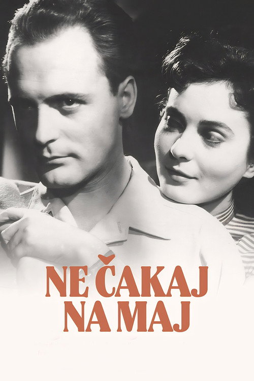Ne čakaj na maj poster