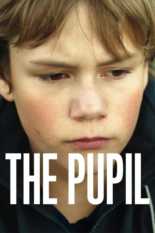 The pupil poster