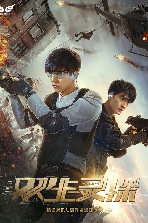 Twin Detective poster