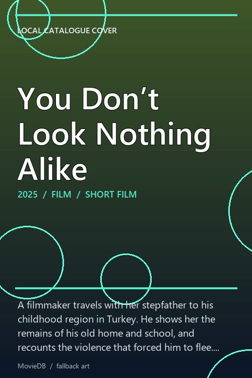 You Don’t Look Nothing Alike poster