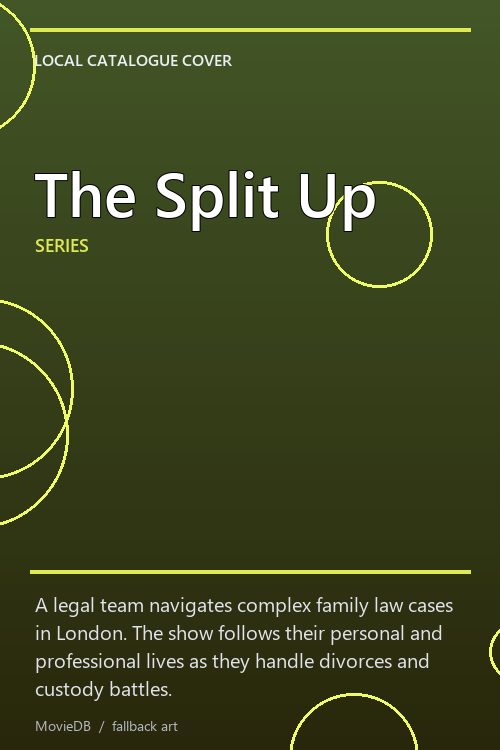 The Split Up poster