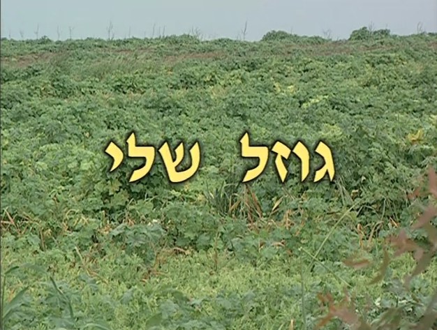 גוזל שלי poster