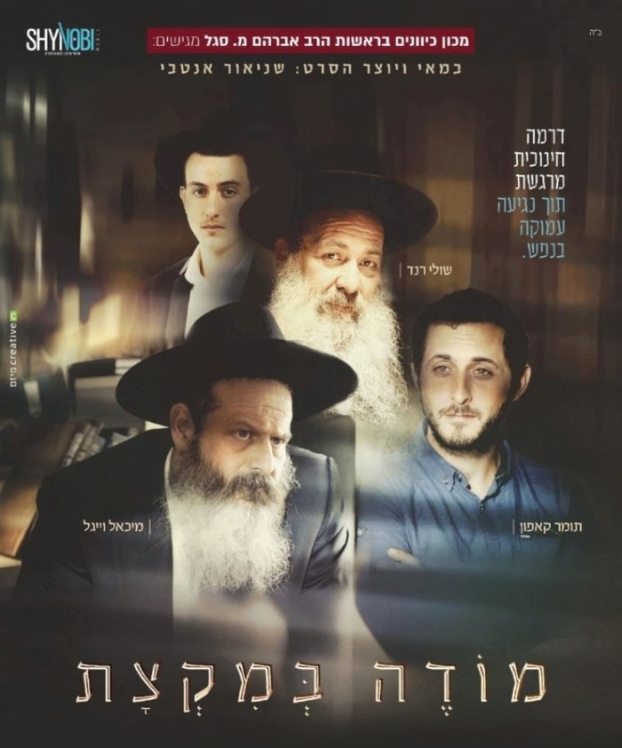 מודה במקצת poster