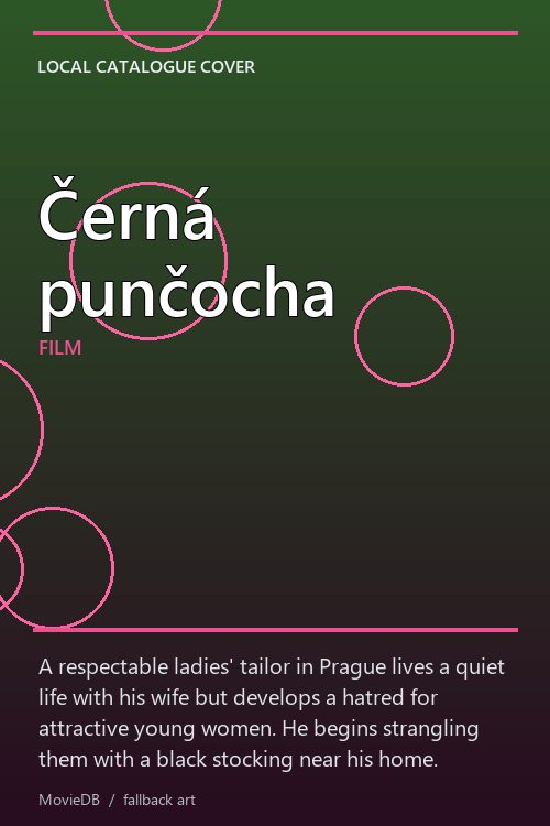 Černá punčocha poster