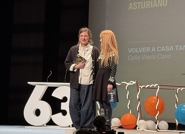 Volver a casa tan tarde poster