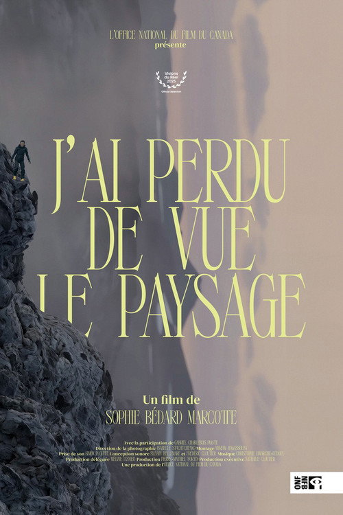 I Lost Sight of the Landscape poster