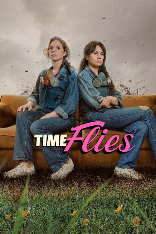 El tiempo de las moscas poster