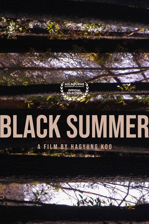 Black Summer poster