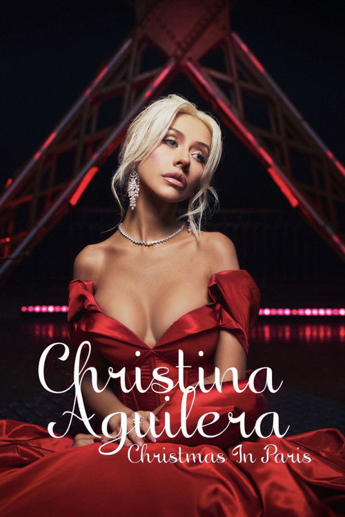 Christmas in Paris poster