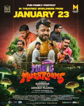 Magic Mushrooms poster