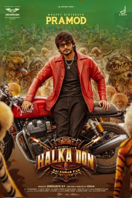 Halka Don poster