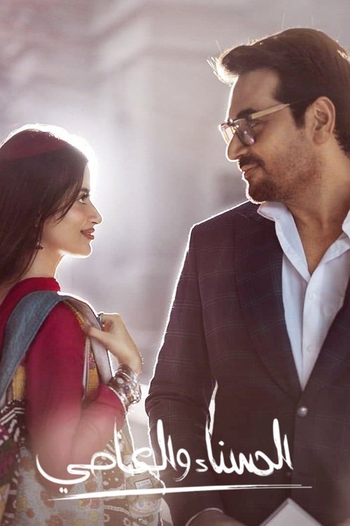 Main Manto Nahi Hoon poster