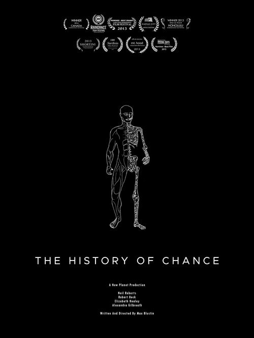 The History Of Chance poster