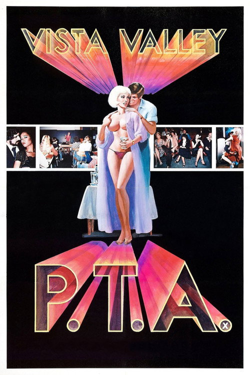 Vista Valley P.T.A. poster