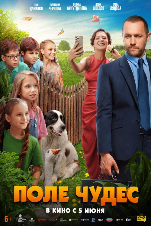 Field of Miracles poster