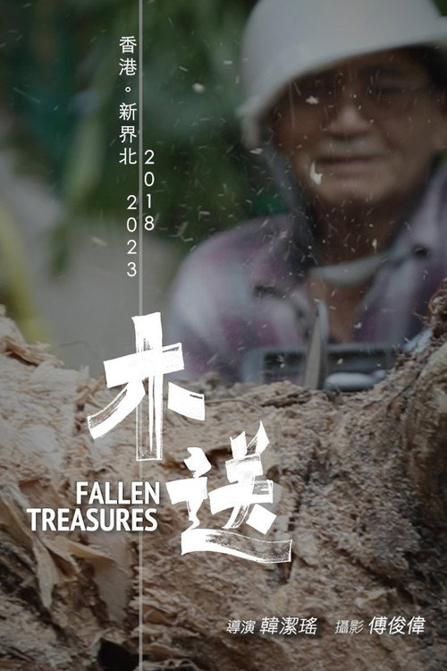Fallen Treasures poster