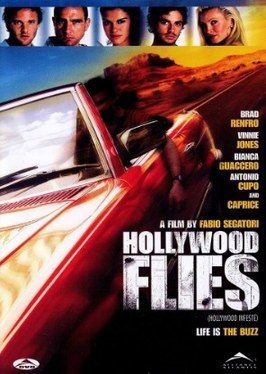 Hollywood Flies poster