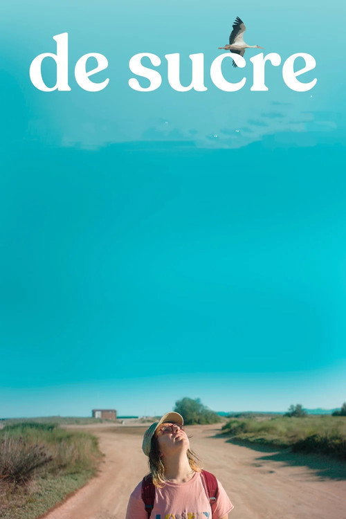Made Of Sugar poster