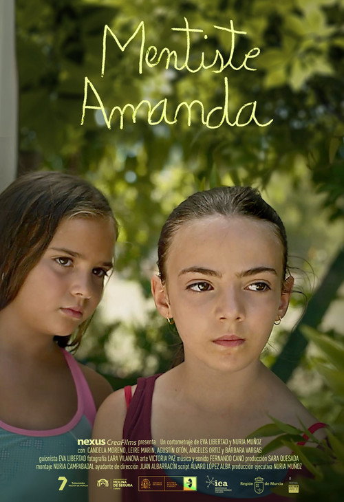 Amanda, you lied poster