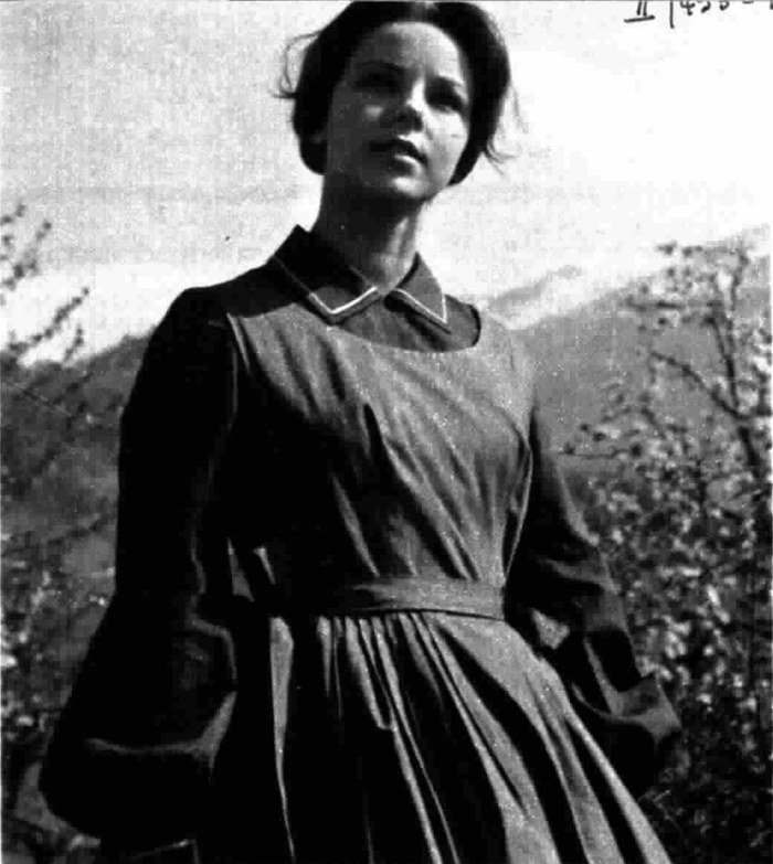 Signora Ava poster