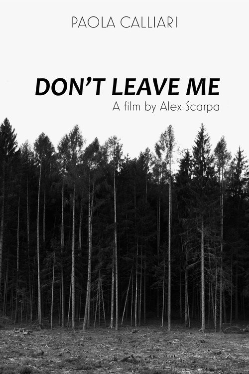 Don't Leave Me poster