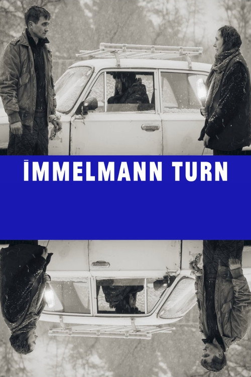 Podviinyi immelmann poster