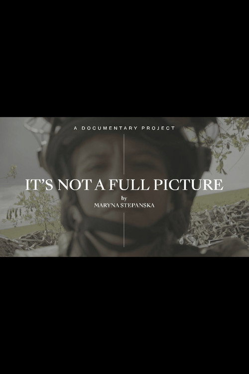 It's Not a Full Picture poster