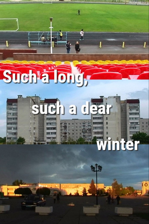 Such a Long, Such a Dear Winter poster