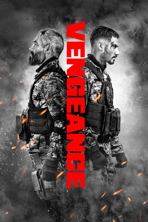 Revenge poster