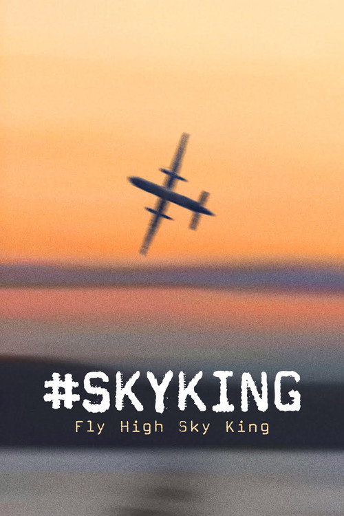 Skyking poster
