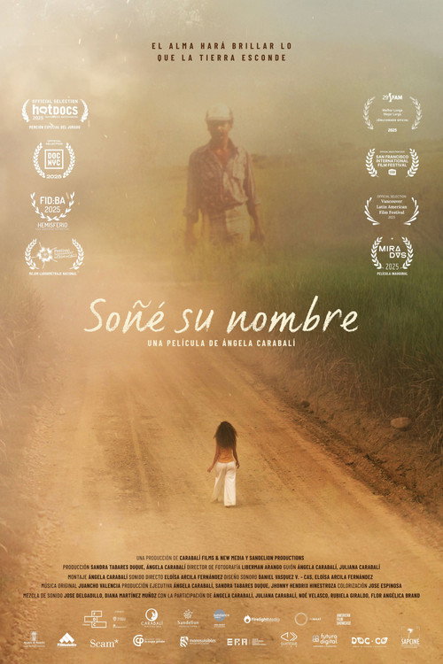 I Dreamed His Name poster