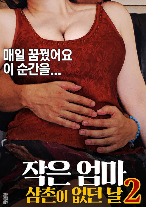 Little Mom 2: The Day My Uncle Was Gone poster