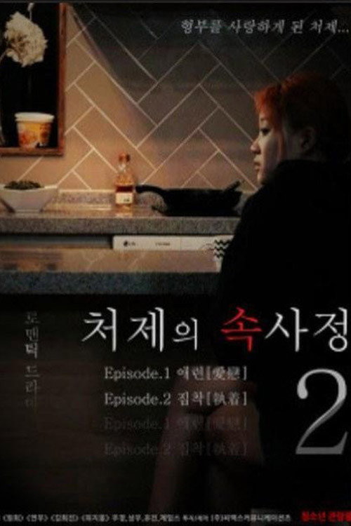 The Sister-in-Law Affairs 2 poster