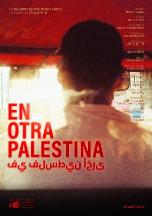 Another Palestine poster