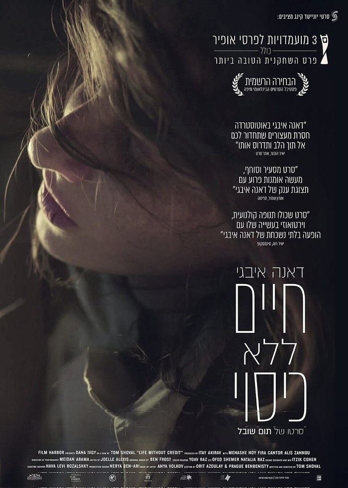 Life Without Credit poster