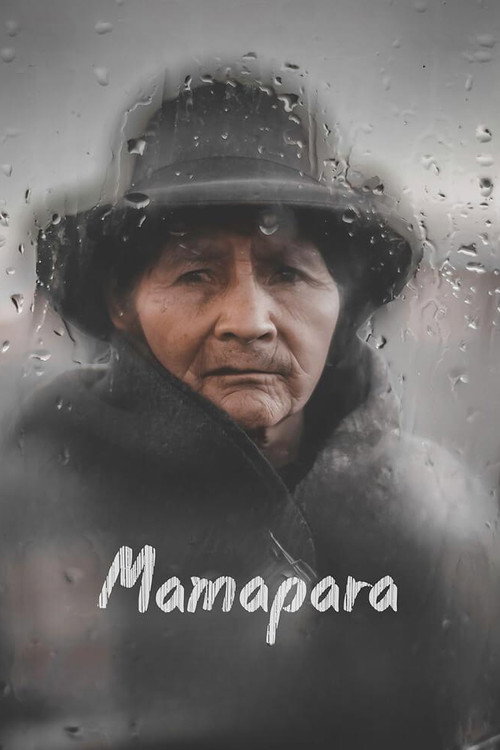 Mother rain poster