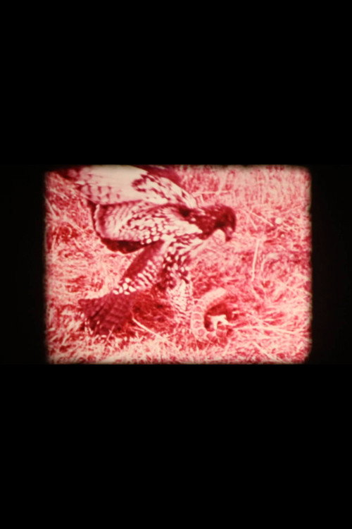 Animal Within poster