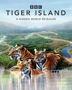 Tiger Island poster