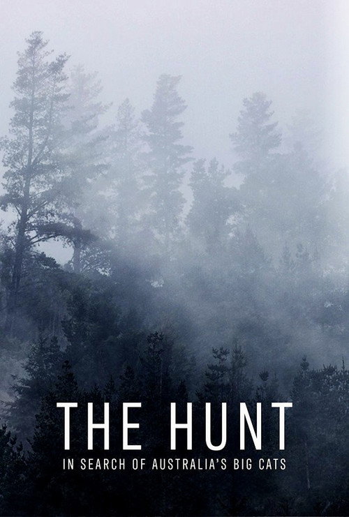 The Hunt: In Search of Australia's Big Cats poster