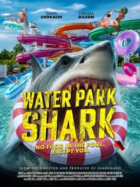 Water Park Shark poster